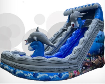 Dolphin double water slide
